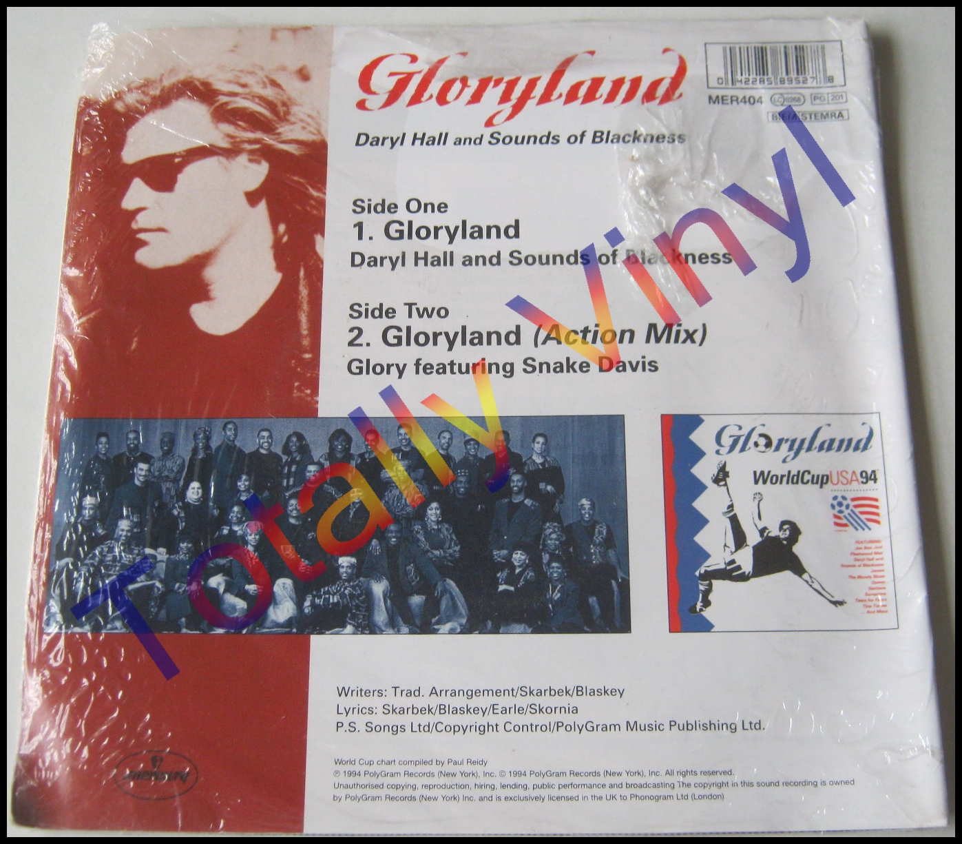 DARYLL_HALL_AND_SOUNDS_OF_BLACKNESS_GLORYLAND_PICTURE_DISC_7_2